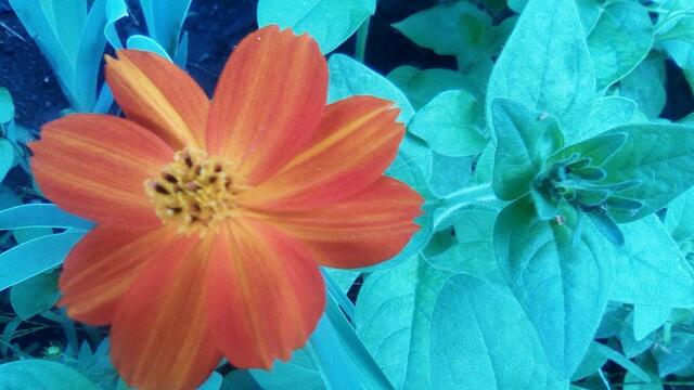 Музыка Сергей Грищук  -  ОСЕНЬ