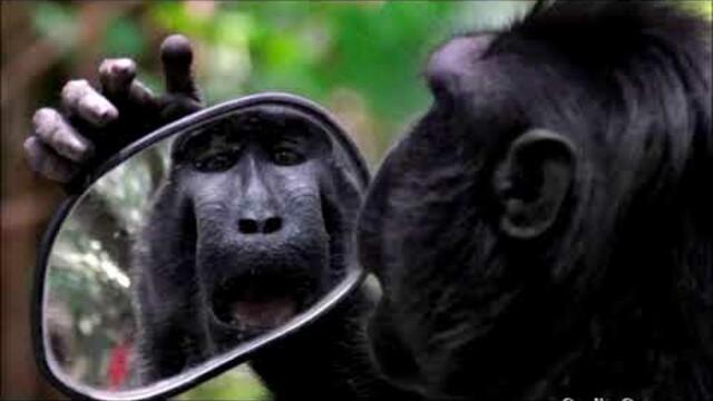 Музыка Сергея Чекалина  - Зеркала.