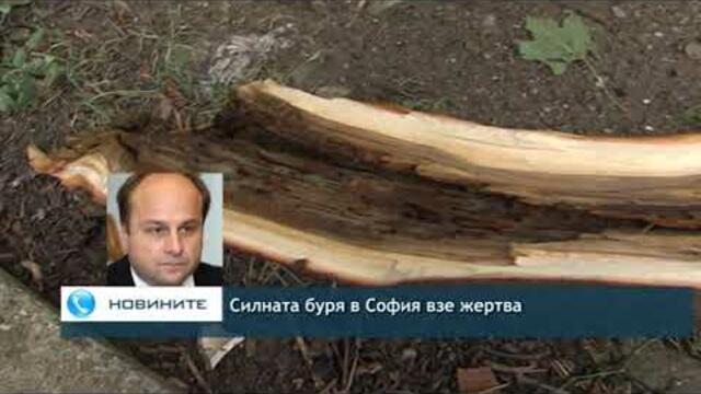 Силната буря в София взе жертва