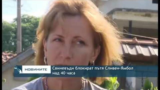 Свиневъди блокират пътя Сливен-Ямбол над 40 часа