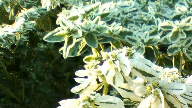 Музыка Сергей Грищук  -    PARIG