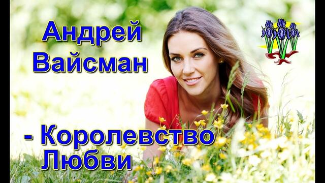Андрей Вайсман - Королевство любви