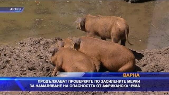 Продължават проверките на БАБХ във Варненско