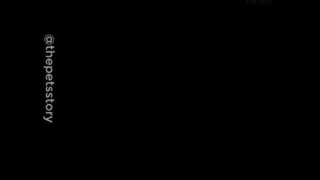 Пчеловод ремикс