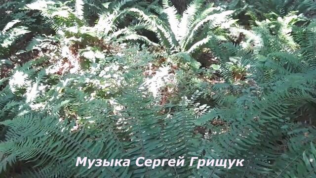 Музыка Сергей Грищук  -   ЛИШЬ ТОЛЬКО  ТЫ