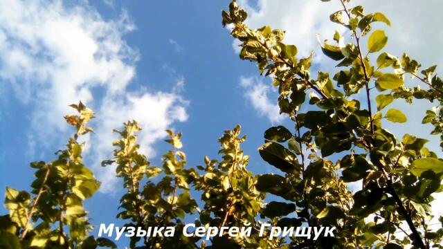 Музыка Сергей Грищук - Без теб!