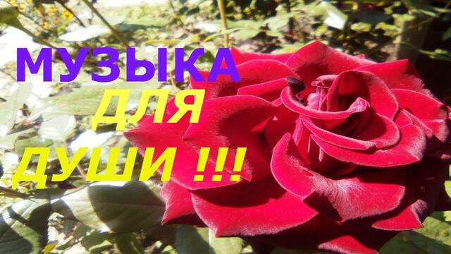 Музыка Сергей Грищук  -   ПОХОЖА НА МЕЧТУ!