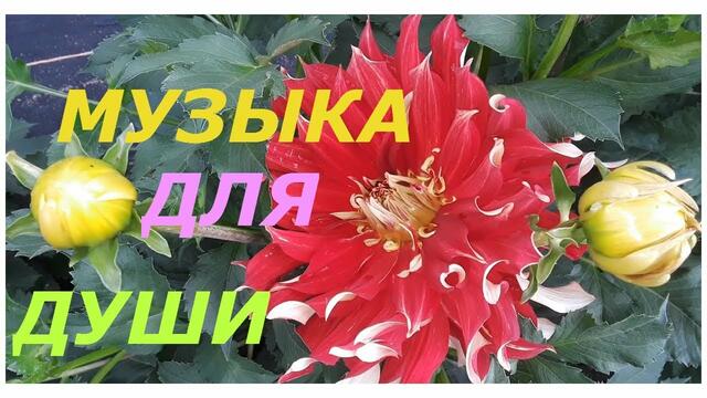 Музыка Сергей Грищук   -   ЗАБВЕНИЕ