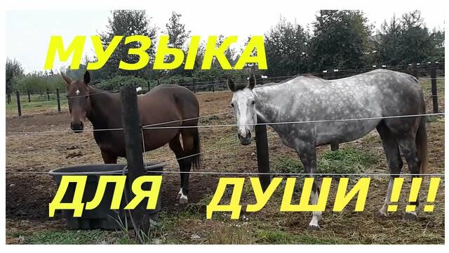 Музыка Сергей Грищук  -   НОСТАЛЬГИЯ