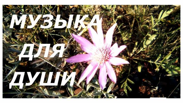 Музыка Сергей Грищук  -   А  ДОЖДЬ  ВСЁ  ЛЬЁТ!