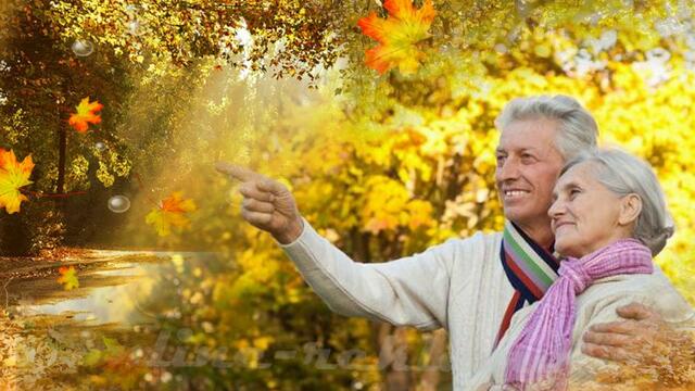 Листья желтые!