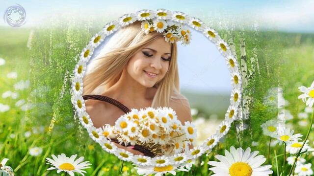 Николай Гнатюк   -   РОМАШКА БЕЛАЯ!