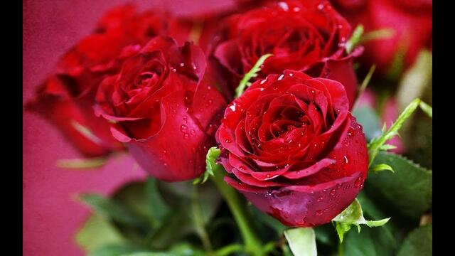 АЛЕКСАНДР ТАУШКАНОВ   -    ВСЕ СПОЕМ - С ДНЕМ РОЖДЕНЬЯ!