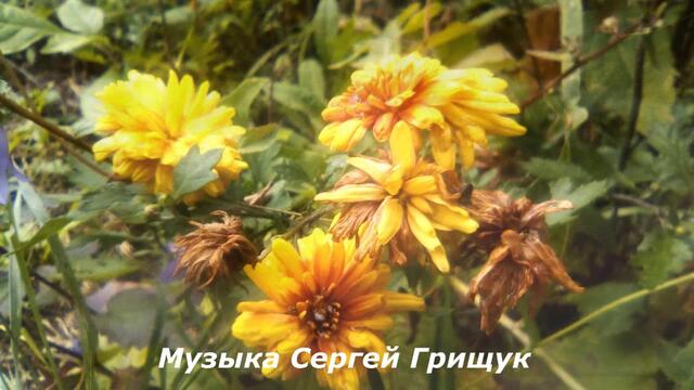 Музыка Сергей Грищук   -    СТРАННИК