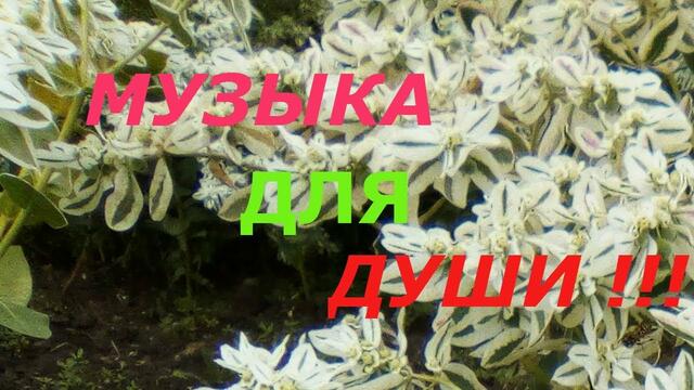 Музыка Сергей Грищук  -    ПРОБУЖДЕНИЕ