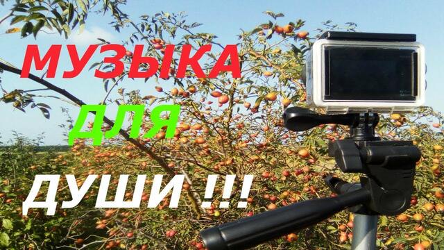 Музыка Сергей Грищук  -   МУЗЫКА ХОРОШЕГО НАСТРОЕНИЯ!