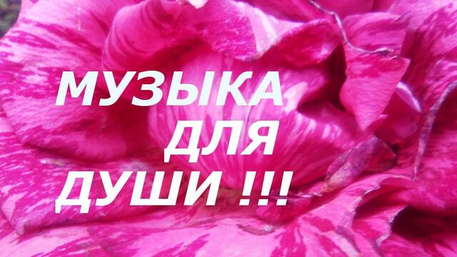 Музыка Сергей Грищук   -   В ДУШЕ МОЕЙ ТЫ НАВСЕГДА