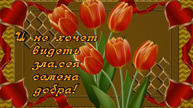 Пожелание для друзей. Радуйся каждому дню.