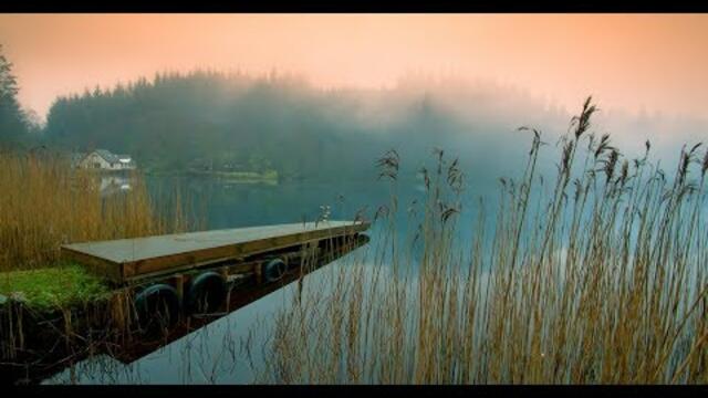 Виталий Данилюк   -   ВЕТЕР БРОДЯГА