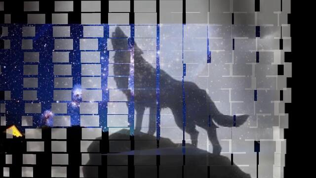 Олег Винник  -  Волчица.