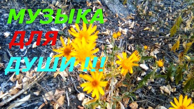 Музыка Сергей Грищук  -  МЕЛОДИЯ ЛЕТАМ