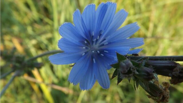 Музыка Сергей Грищук  -  МОРЕ  ГРЁЗ