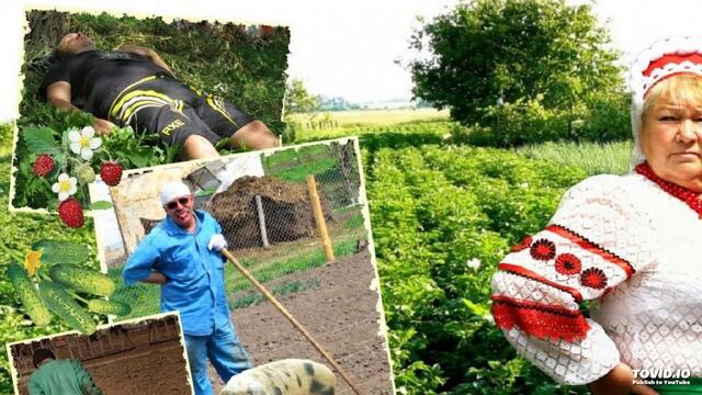 Отдых зятя у тёщи на даче