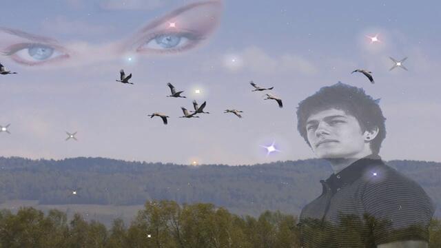 Ilona Barabash   -   Журавли улетели далеко, далеко.