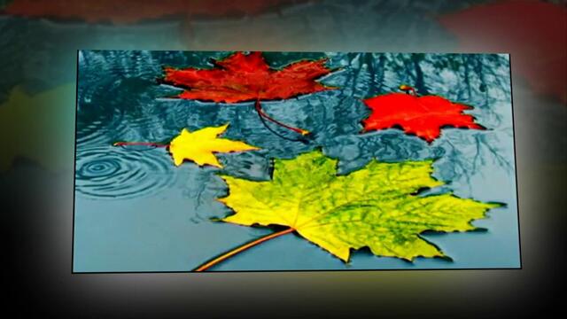 Музыка Сергея Грищука  -  Уходящая осень