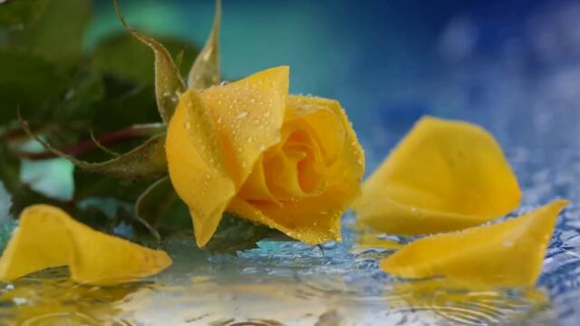 У меня есть ты