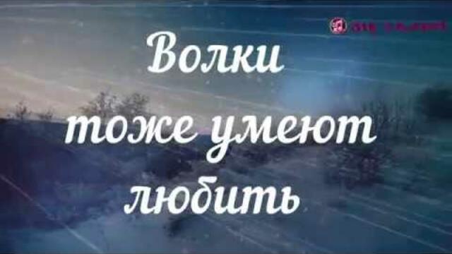 Вячеслав Сидоренко   -    Волки также умеют Любить.