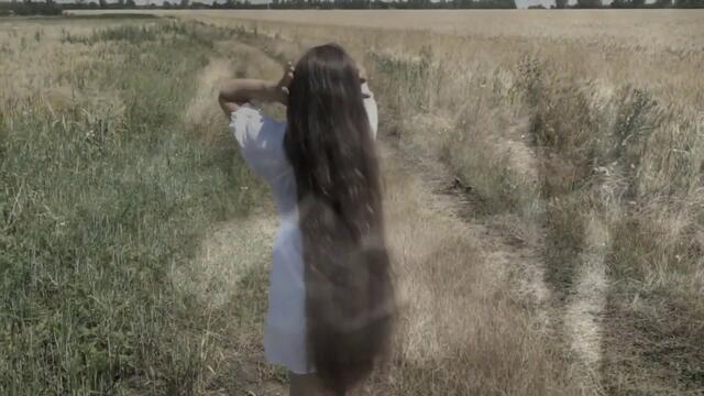 Виктор Гурченко   -  Полынь Трава