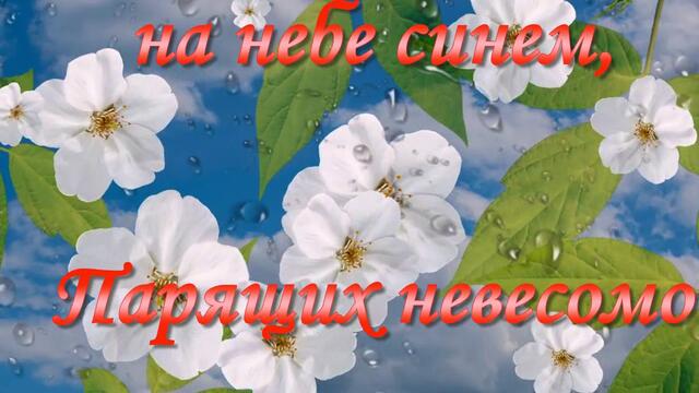 Красивой женщине   красивые цветы и пожелания