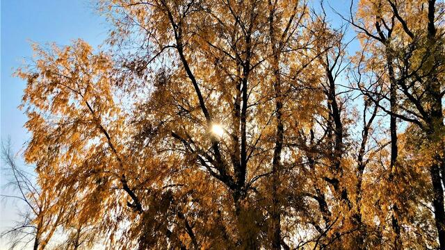 Сергей Орлов и гр. Светлый Свет   -   В Озере Вода