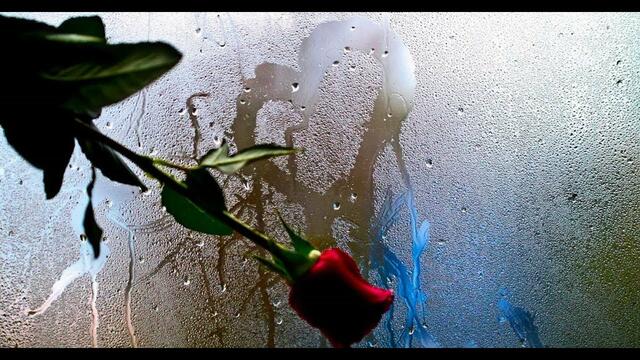 Эдгар Туниянц  -  Дождь за моим окном