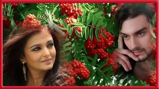 Ион Суручану   -   Ой, рябинушка, рябина...