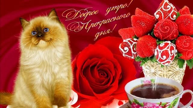 Доброе утро!   Музыкальное пожелание с Добрым утром!