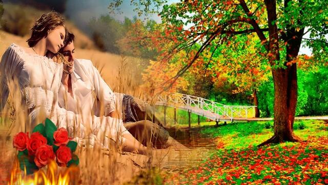 Шальная! Замечательная песня!