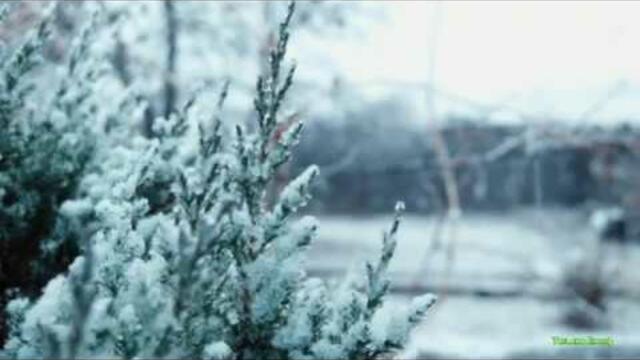 Василий Удольцов  -  ВСЁ ВОКРУГ ПЕРЕМЕНИЛОСЬ!