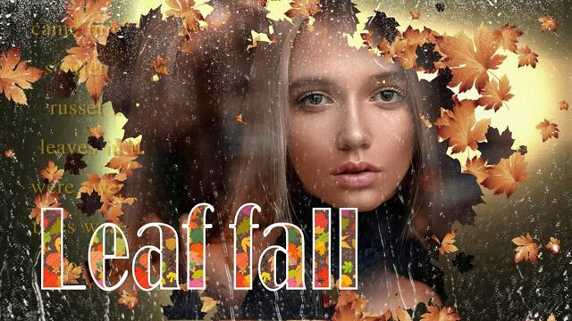 Проект  -  Листопад!