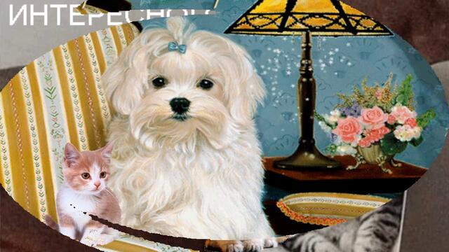 Добрый вечер!  Доброй ночи, чудесного вечера!