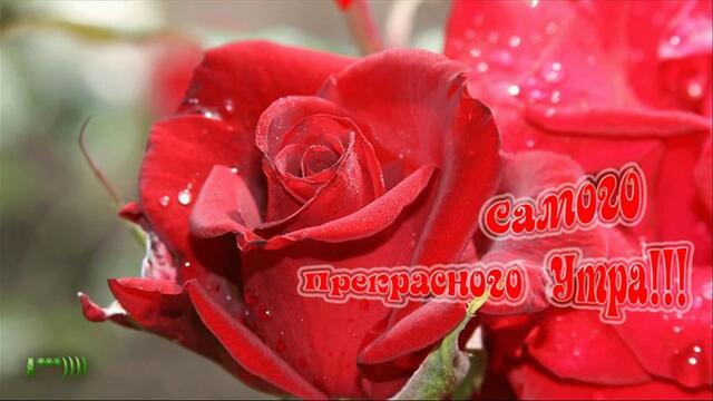 Доброе утро!  Пусть утро будет ласковым и добрым!  Музыкальное пожелание!