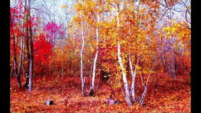 Музыка Сергея Чекалина  -  Октябрь.