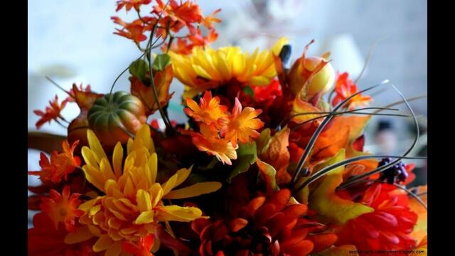 ЮЛЯ ШАТУНОВА - ОСЕННИЕ ЦВЕТЫ!