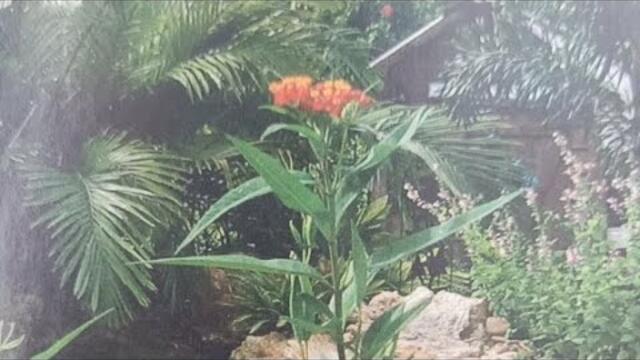 LIVE N AKO MGA FRIEND SILIP AT BG SAPAT NA