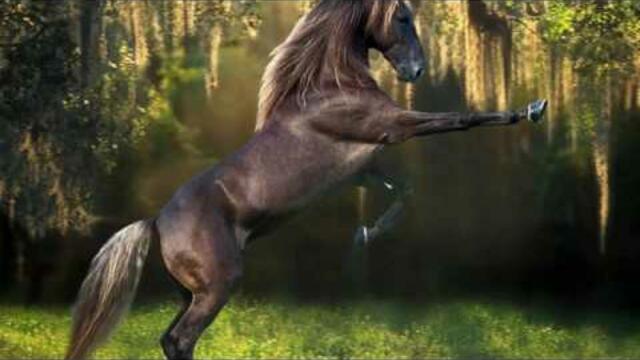 Анатолий Кулагин  -  Не Хочу Я Так