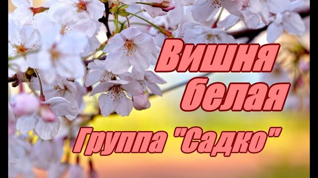 Группа " Садко"  -    Вишня белая