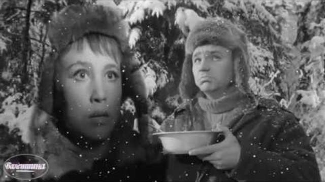 " СТАРЫЙ КЛЕН"