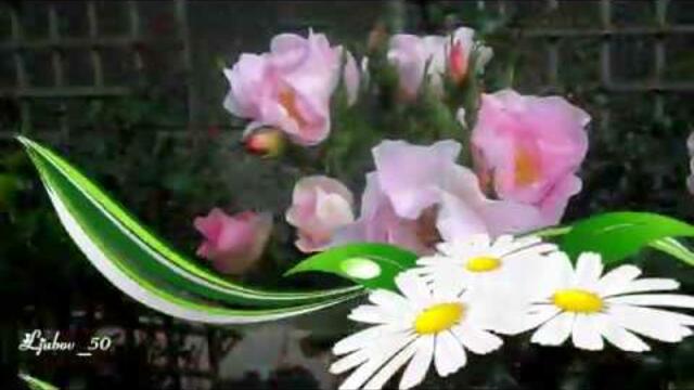 Игорь Двуреченский -  Признание в любви