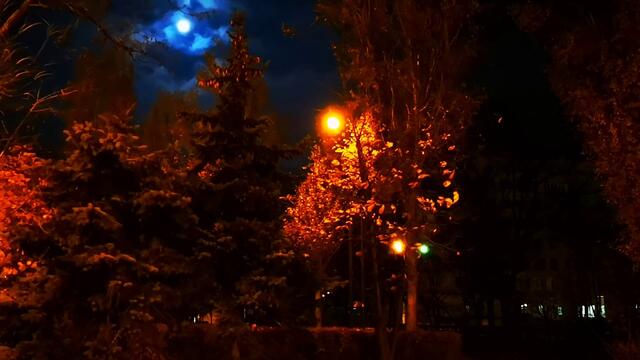 Николай Берег    -    ОДИНОЧЕСТВО